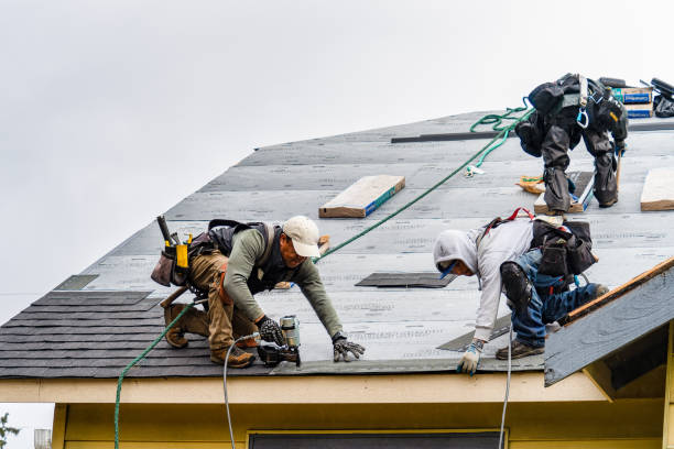 Professional Roofing technician working in Dahinda, IL